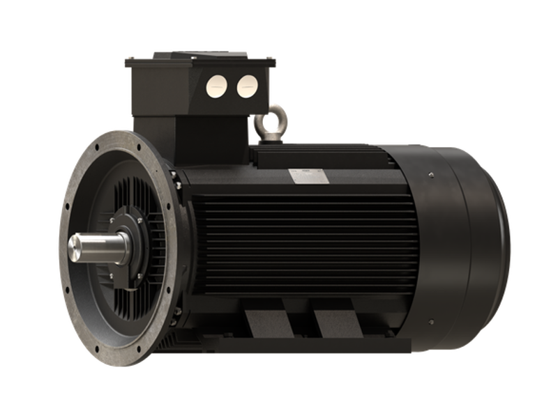 Prodrender Stdmotor IE4 B35 002 Ortho (2) 660X440