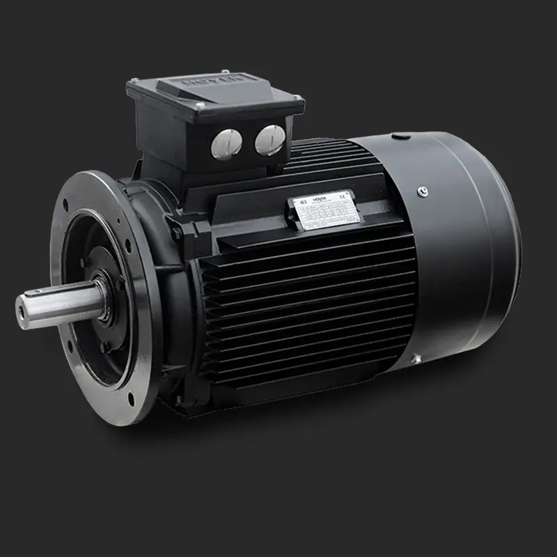 World Efficiency Motor 400X700