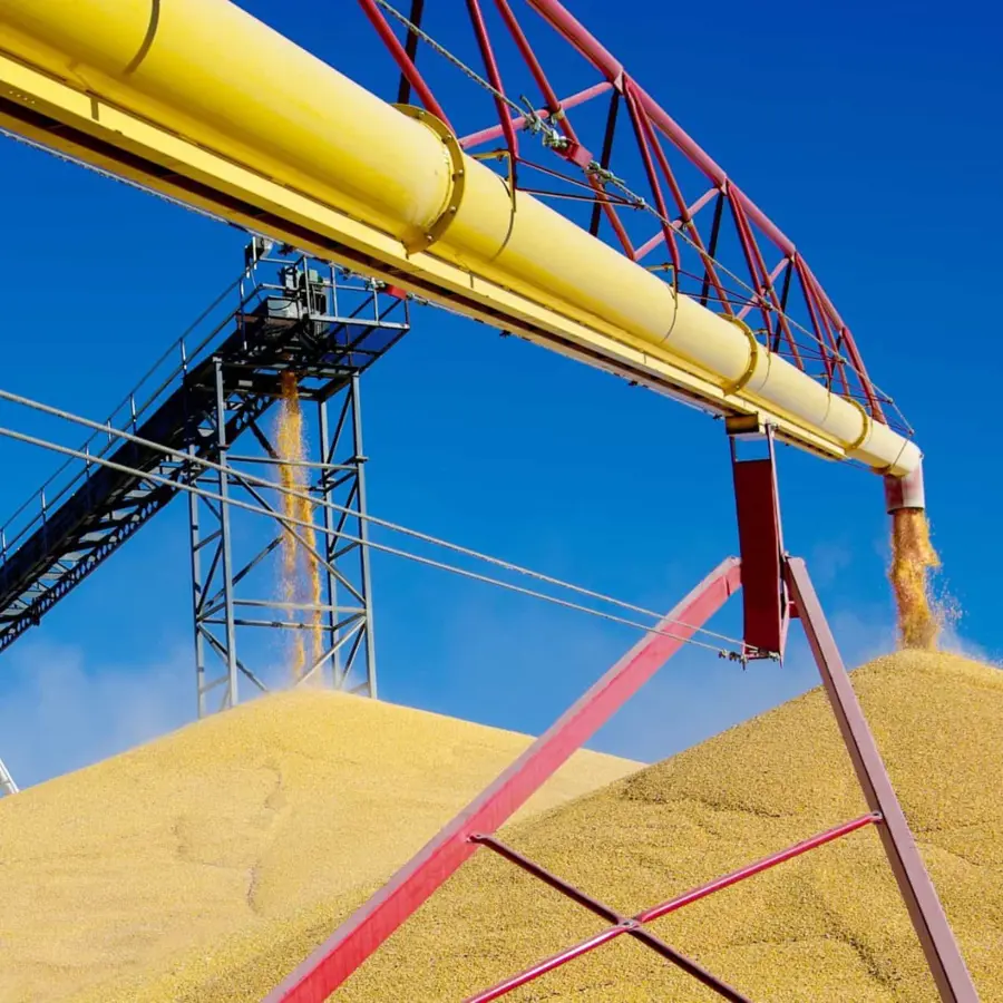 Zmc Conveyor Chains Egypt